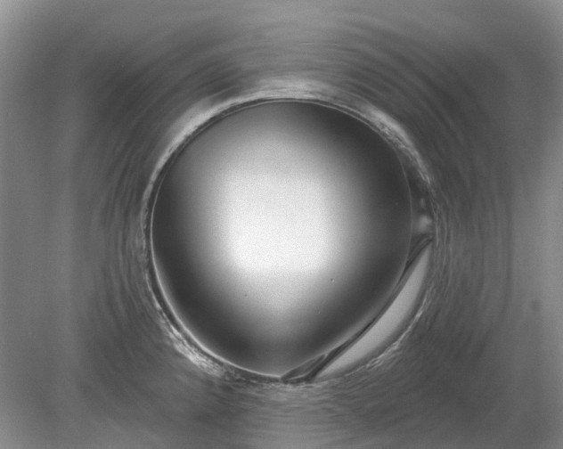 X0000078891192200611201428