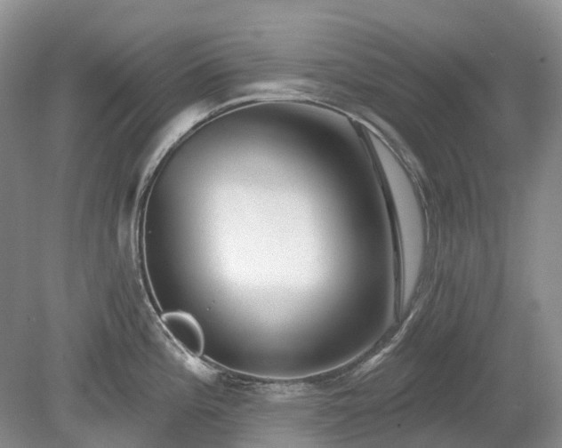 X0000078891196200611201428