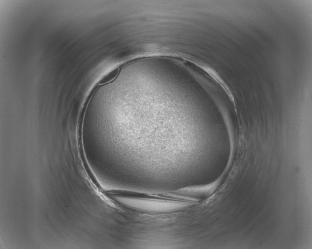 X0000078891197200611201428