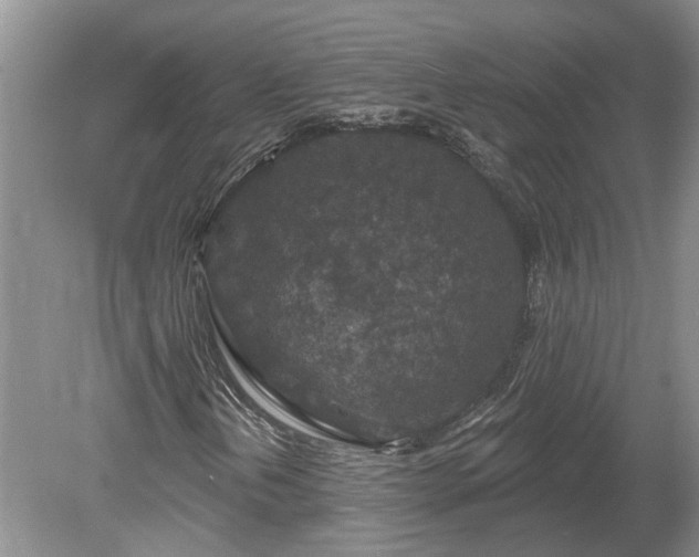 X0000078891202200611201428