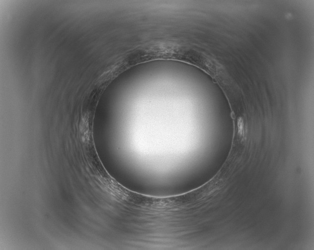 X0000078891203200611201428