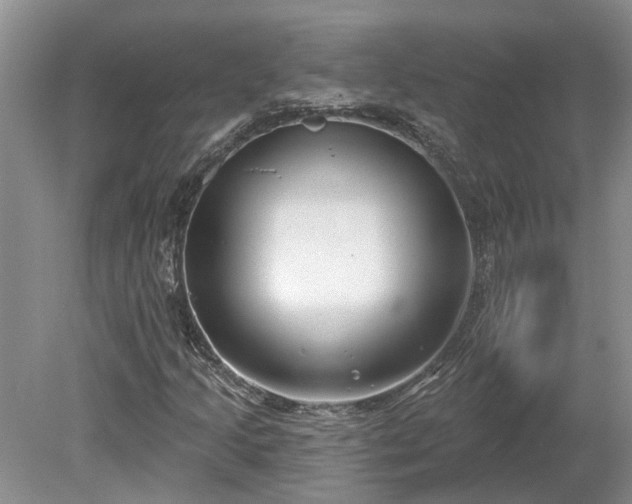 X0000078891205200611201428