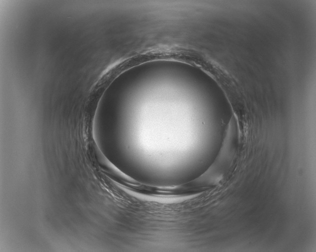 X0000078891206200611201428