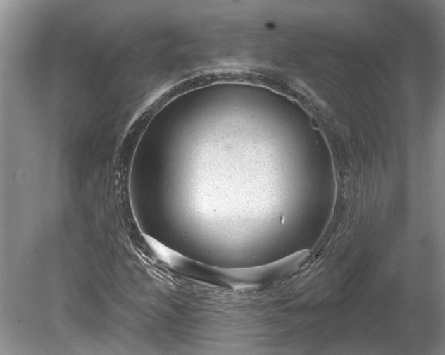 X0000078891208200611201428