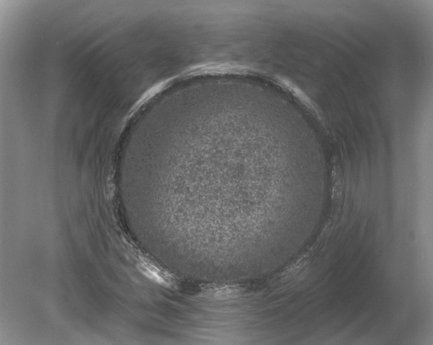 X0000078891213200611201428