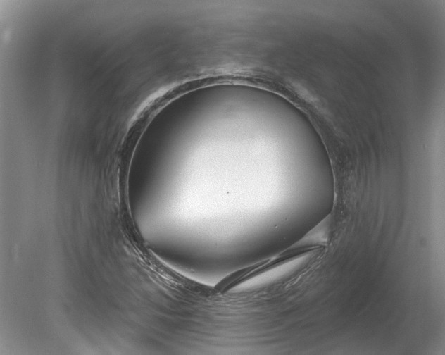 X0000078891214200611201428