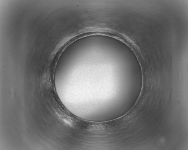 X0000078891215200611201428