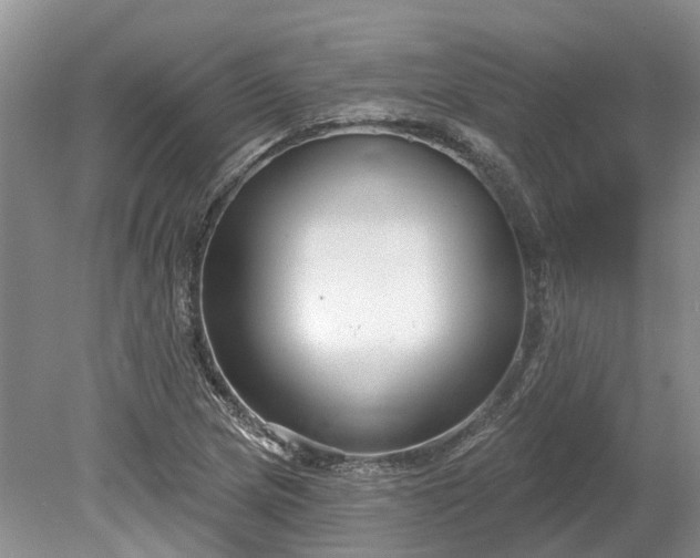 X0000078891217200611201428