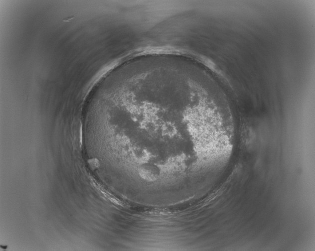 X0000078891221200611201428