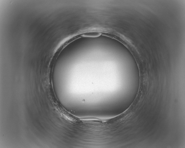 X0000078891222200611201428