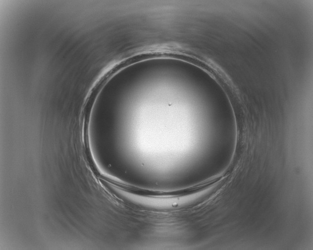 X0000078891224200611201428