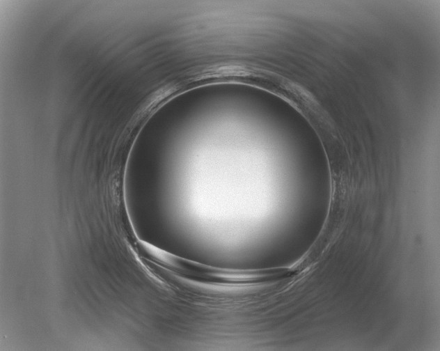 X0000078891225200611201428