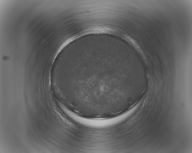 X0000078891226200611201428