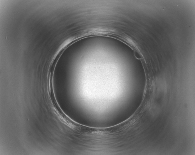 X0000078891227200611201428