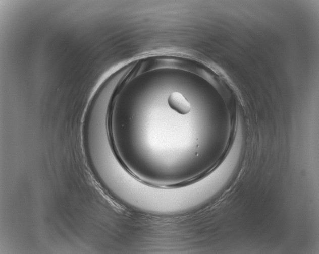 X0000078891230200611201428