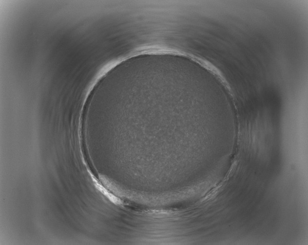 X0000078891231200611201428