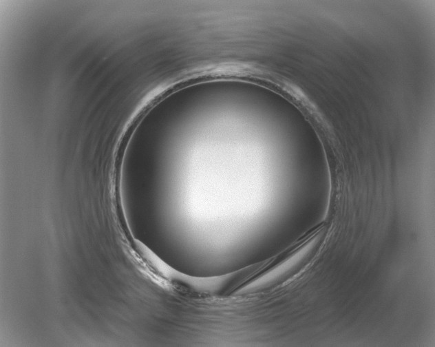 X0000078891232200611201428