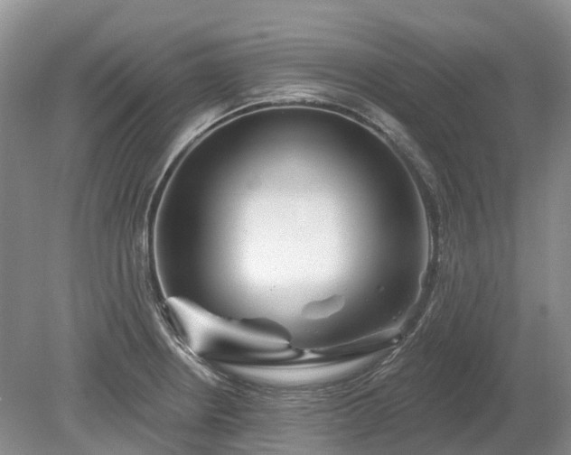 X0000078891234200611201428