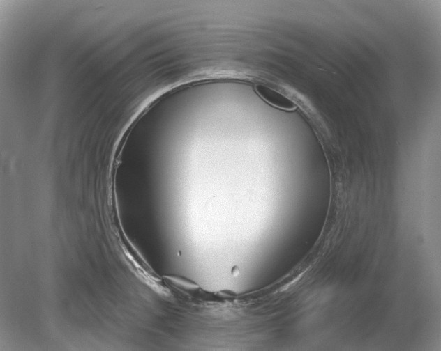 X0000078891236200611201428