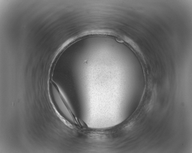 X0000078891237200611201428