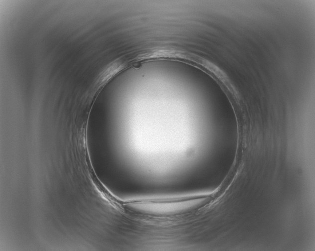 X0000078891241200611201428