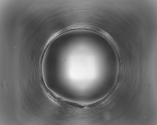 X0000078891242200611201428