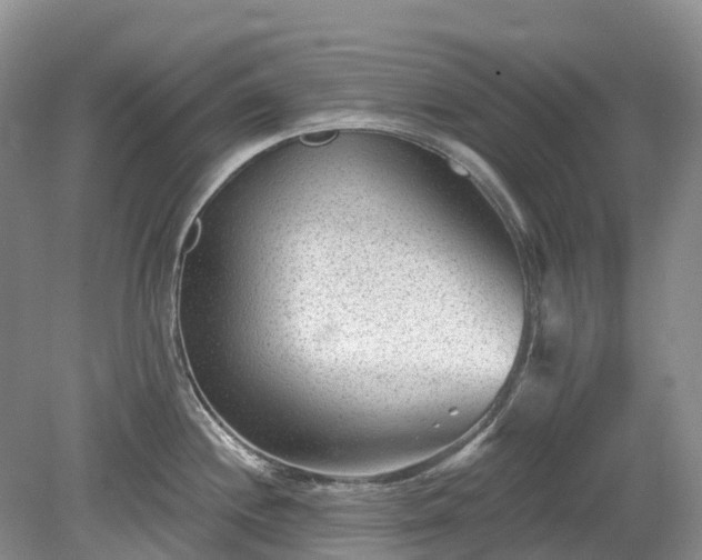 X0000078891244200611201428