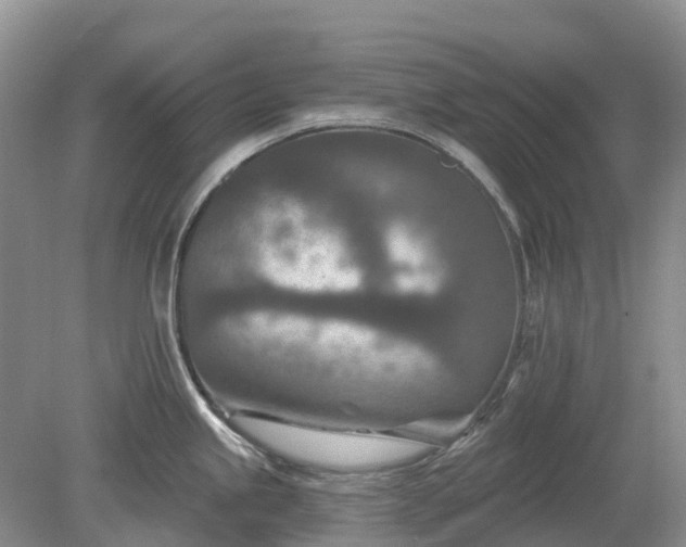 X0000078891245200611201428