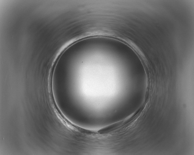 X0000078891246200611201428