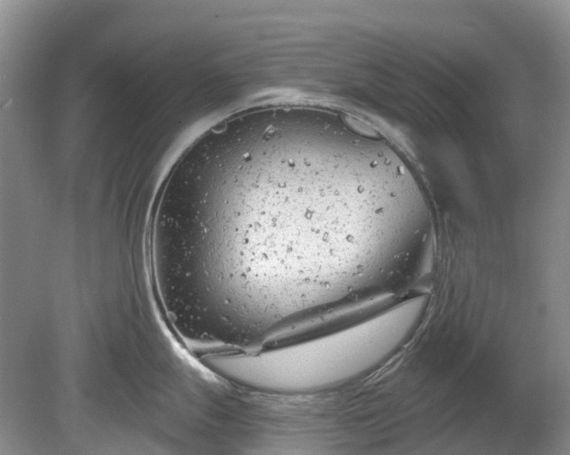 X0000078891247200611201428