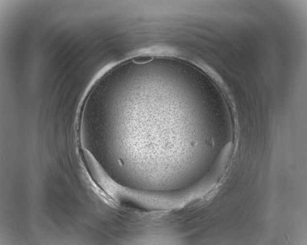 X0000078891248200611201428