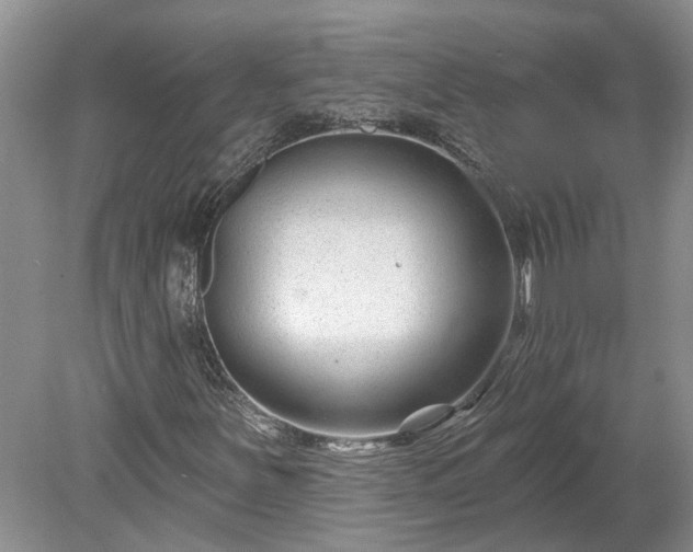 X0000078891251200611201427