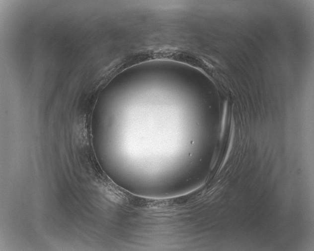 X0000078891252200611201427