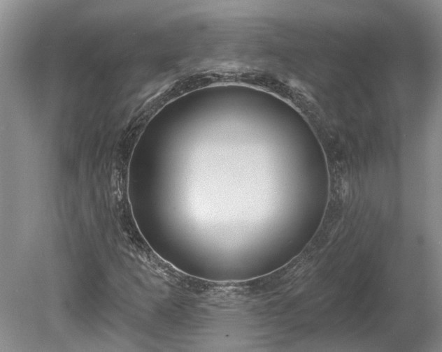 X0000078891253200611201427