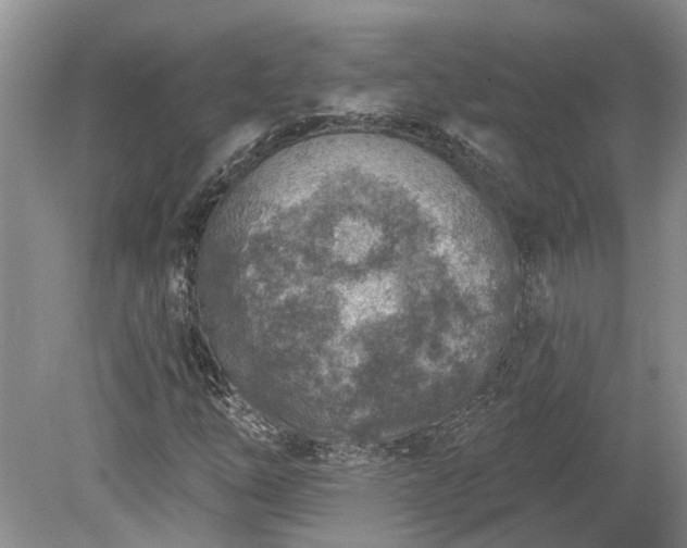 X0000078891254200611201427