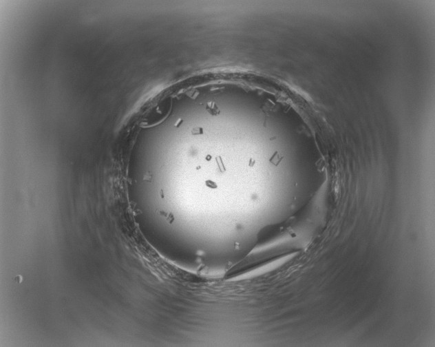 X0000078891255200611201427