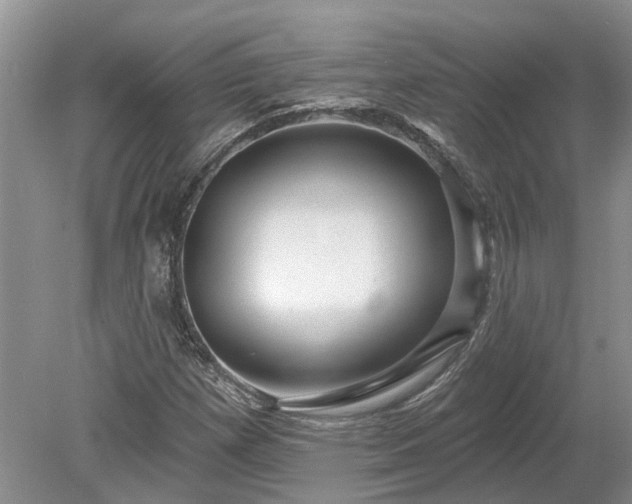 X0000078891257200611201427