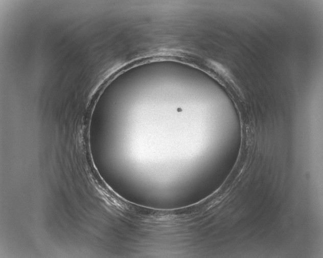 X0000078891260200611201427