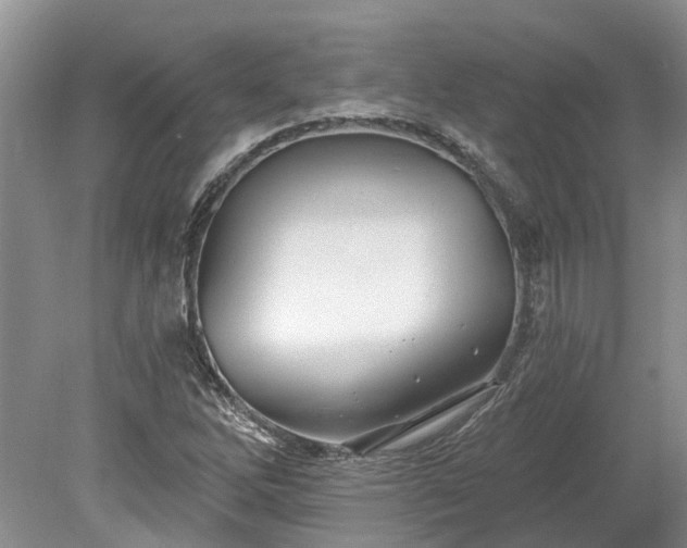 X0000078891262200611201427