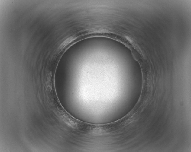 X0000078891265200611201427