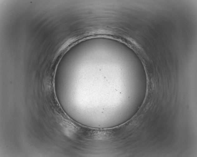 X0000078891266200611201427