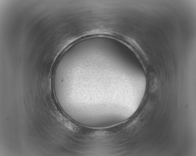 X0000078891268200611201427