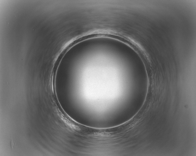 X0000078891272200611201427