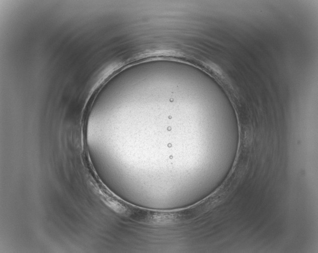 X0000078891274200611201427