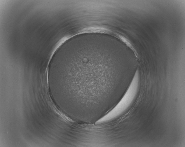 X0000078891275200611201427