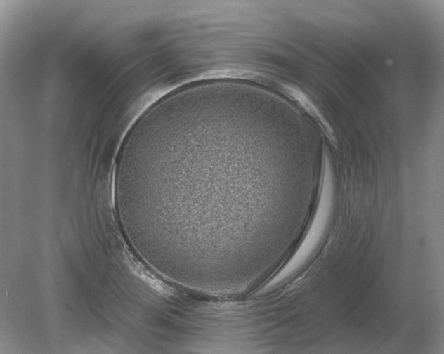 X0000078891276200611201427