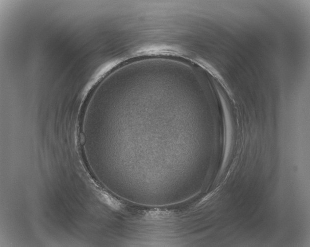 X0000078891277200611201427