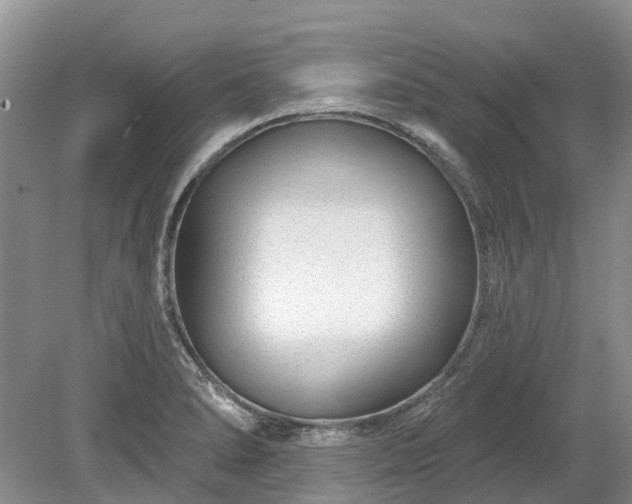 X0000078891278200611201427