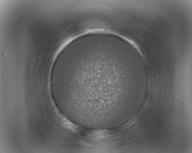 X0000078891279200611201427