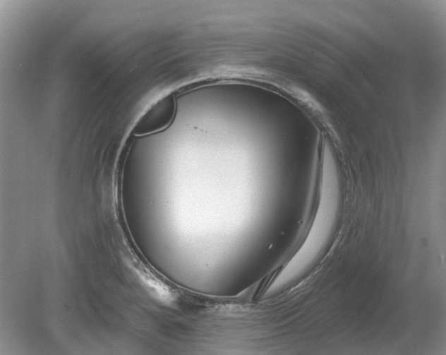 X0000078891280200611201427